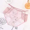 Lace Sexy Mesh Hollow Men's Briefs