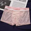 Ice Silk Breathable Mesh Transparent Sexy Underwear