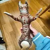 Customized Pets Human Plushie With Poseable Portable Skeleton Send Pic to bruce663@foxmail.com