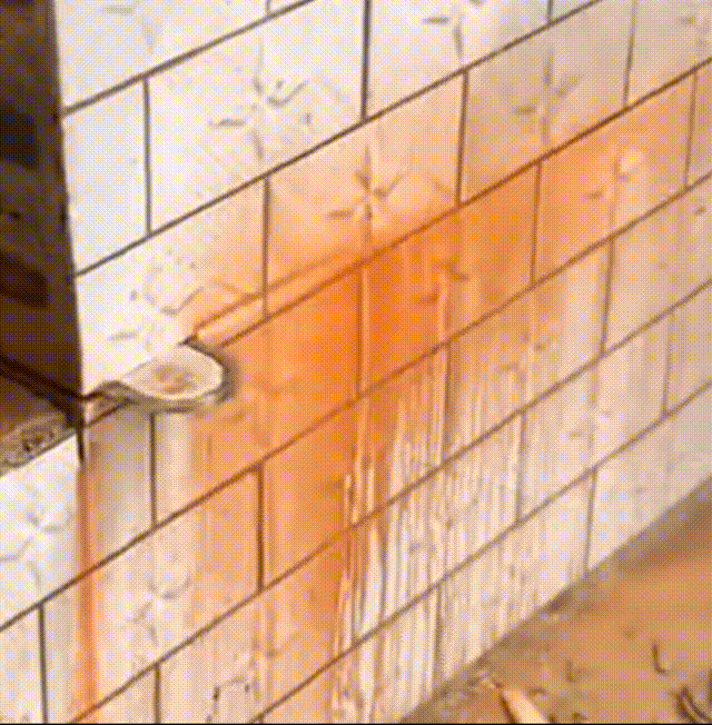 1715153115717101.gif