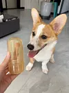 💥 Pet Toothbrush with Tongue Scraper