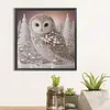 Owl-Partial Special Shaped Diamond Painting 30*30CM