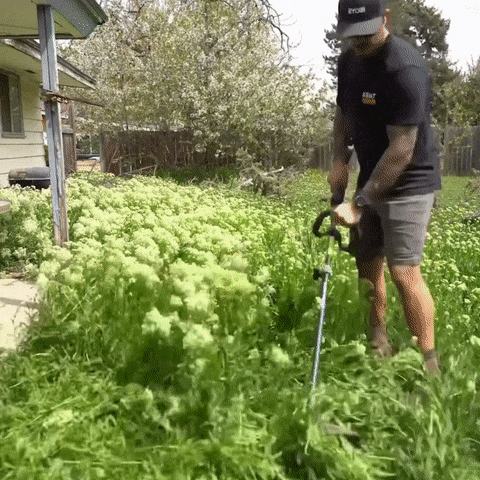PowerTrim