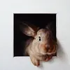 Rabbit-Paint By Numbers Acrylic Painting 30*30CM