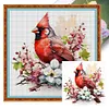 (Multi-Style) Flower Bird Owl - 18CT Stamped Cross Stitch 20*20cm/7.87*7.87in