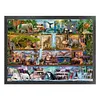(Big Size)Wildlife Books - 16CT Stamped Cross Stitch - 60*45cm - Animal