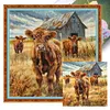 Highland Cattle-Full Embroidery 2 Strands 14CT Stamped Cross Stitch-40*40CM