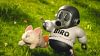 WCF Scale Akira Toriyama Walking Dog - Dragon Ball Resin Statue - ZOR-Studios
