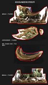 1/20 Scale World Zukan Evolution of Tyranitar Set - Pokemon Resin Statue - VS Studio