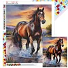 Horse -Full Square Diamond Painting(40x50cm)