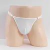 Detachable Sexy Ice Silk Stretch Sheer Low Rise Thong
