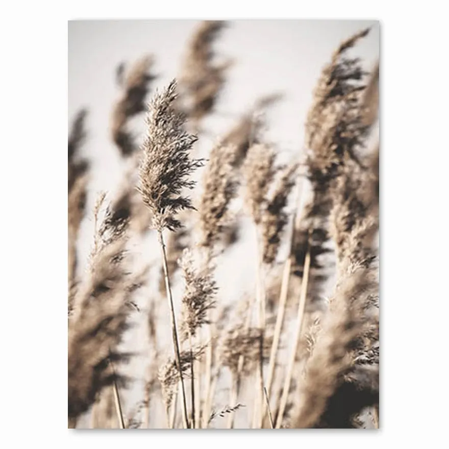 Scandinavian Nature Landscape Canvas Painting Grass Bridge Beach Sunset Wall Art Poster Nordic Print Modern Picture Home Decor
