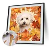 Maple Leaf Puppy-Paint by Numbers Acrylic Painting 40*40CM