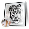 Tiger-Paint by Numbers Acrylic Painting 20*20cm