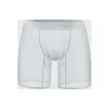 Men's Sheer Ice Silk Boxer Briefs Sexy Super Thin Seamless Trunk Underwear Bulge Pouch Panties
