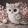 Owl-Partial Special Shaped Diamond Painting 30*30CM