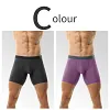 Men's Ice Silk Underwear Sexy Bulge Puch Low Rise See Through Boxer Briefs Thin Cool Boxers Shorts