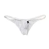 Men's Sexy Low Waist Mesh Transparent Briefs