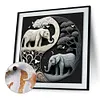 Tai Chi Elephant-Paint by Numbers Acrylic Painting 40*40CM