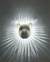 3D Animal LED Wall Light, Owl Wall Light, Bald Eagle Wall Light, Lion Wall Light, Bedroom, Living Room, Stairs, Corridor, Kitchen Wall Light, Decorative Art