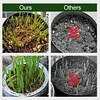 Organic Coconut Coir for Plants -Last Day Sale 49% OFF✨