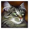 Diamond Painting-DIY Full Round Drill Cat