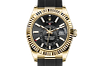 Rolex 326238 Sky-Dweller Bright Black - New