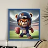 Chicago Bears Football-11CT Stamped Cross Stitch 40*40cm