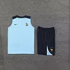 2024 France pre-match training Light Blue Jersey+Shorts 1:1 Thai Quality