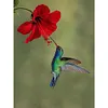 Birds-Full Square Diamond Painting(35x45cm)