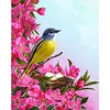 【Limited Stock Sale】Twig Sparrow-Paint by Numbers Acrylic Painting 40*50CM