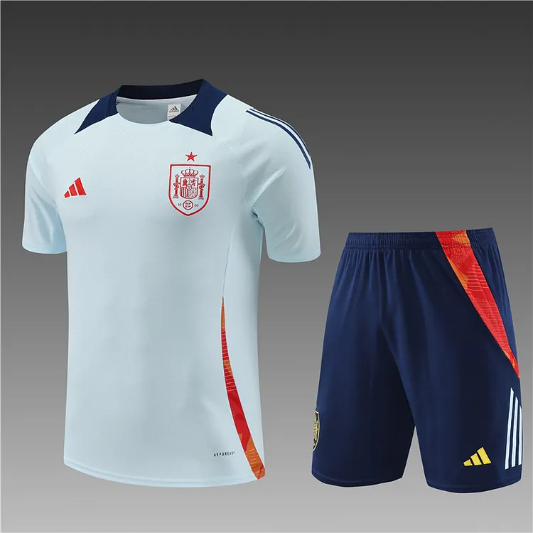2024-25 Spain light blue short-sleeved training jersey