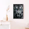 (US Local)White Tiger - Round AB Drills Diamond Painting(45x65cm)