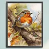 (US Local)Robin-11CT Stamped Cross Stitch Kit(40x50cm)