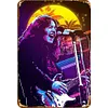 Rory Gallagher - Vintage Metal Signs - 20*30cm/30*40cm - Music