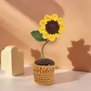 4Pcs Potted Plants Crochet Kit DIY Crochet Starter Kit Crochet Set for Beginners