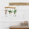 Glass Container Plants Glass Air Plants Hanging Glass Container Plants Glass Home Decor Vase Wall Mounted Glass Planter (Hanging Glass Vase)