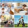 Dog Toys Ball, Indoor/Outdoor Interactive Dog Squeaky Balls for Tug of War, Puppy Birthday Gifts, Durable Plush Dog Toy for Small, Medium and Large Dogs