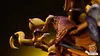 1/20 Scale World Zukan Alakazam Family - Pokemon Resin Statue - North Star Studio