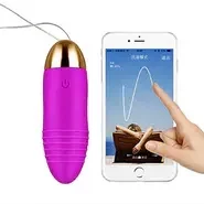 Vibrator