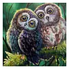 >SALE<48x48cm 11CT Cross Stitch Kit Stamped Canvas Needlework Owl Birds (CXB158)