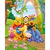 Winnie - Full Round Diamond Painting  40*55CM