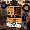 Rory Gallagher - Panneaux en &eacute;tain m&eacute;tallique(20*30cm/30*40cm) - Musique