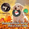 Dog Flying Disc, Dog Flyer Dog Toy, Dog Interactive Lightweight Flying Disc Dog Toy for Small Large Dogs - Floats in Water & Safe on Teeth