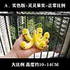 Hollow-Hollow Fruit & Rumble-Rumble Fruit - ONE PIECE Resin Statue - Demon Studios