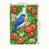 Bird 5D DIY Diamond Art Painting Notebook Kit 50 Pages A5 Rhinestone Art Painting Notebook Kit for Adults Beginners Holiday Birthday Gift