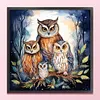 (US Local)Owl Mother Child-11CT Stamped Cross Stitch Kit(45x45cm)