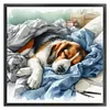 (Multi-Style) Sleeping Dog Cat-11CT Stamped Cross Stitch 40*40cm
