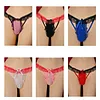 Men's Underwear For Men Sexy Lingerie Sexy G-string Underwear Sheer Mesh Bikini Briefs Gay Crossdresser