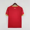 2022 FIFA World Cup Serbia Home Soccer Shirt love fball